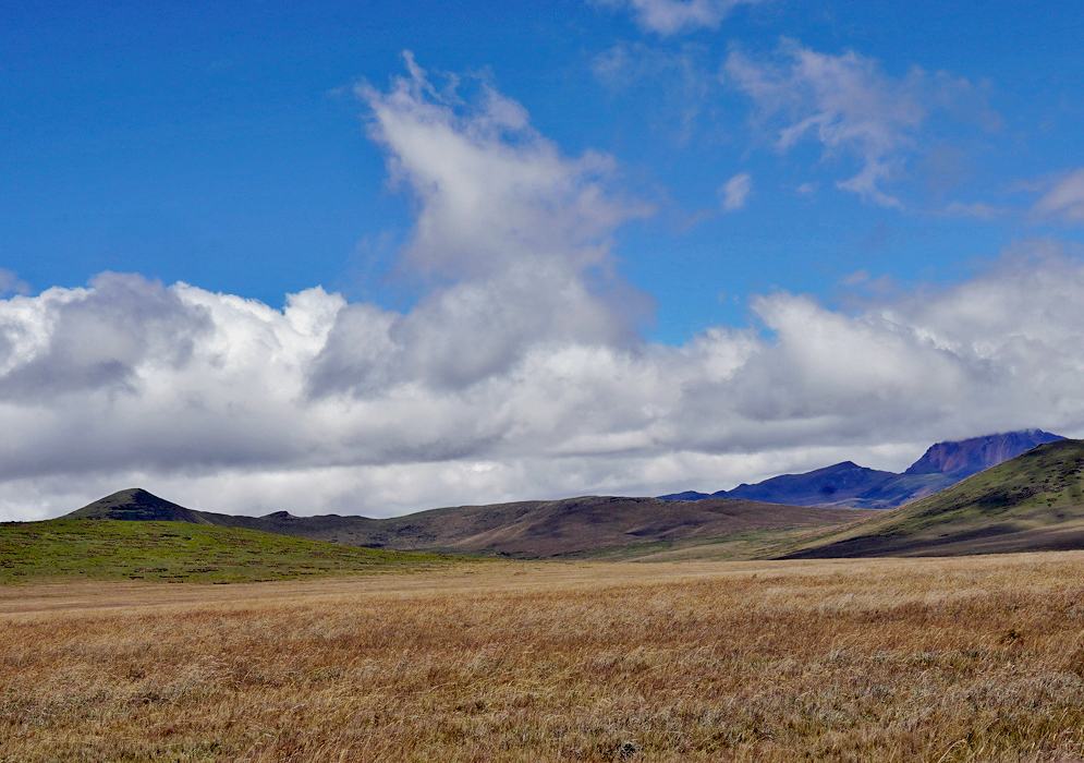 Windswept golden páramo vegetation stretches across a high-altitude plain with the Antisana highlands and cloudy sky forming the backdrop