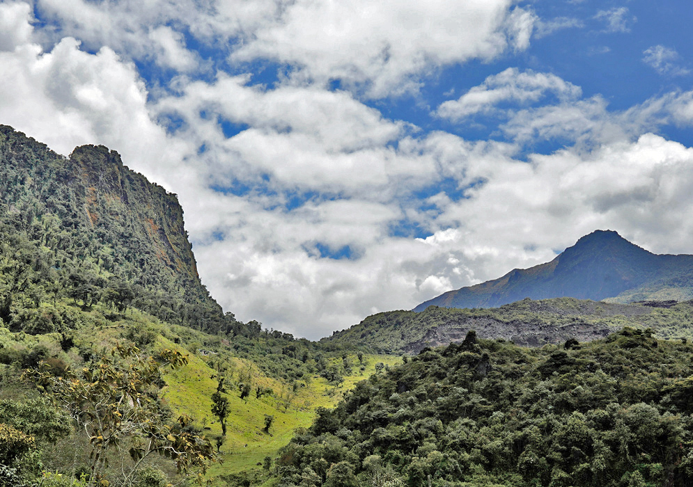 Páramo Landscape Papallacta Cloud-covered Andes peaks tower over the green páramo valleys of Papallacta, with a mix of forest and volcanic rock in the highlands of Ecuador