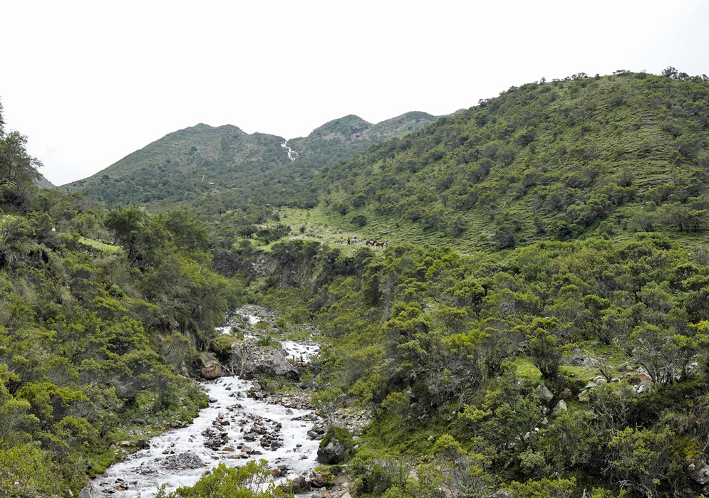 A fast-flowing rocky stream cutting through dense páramo vegetation and green hills in the Humantay region, with distant hikers and horses barely visible along the ridge