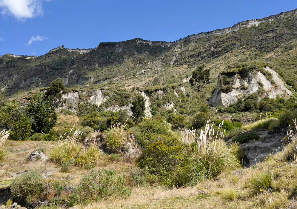 Páramo Vegetation Quilotoa Crater Rugged páramo vegetation with grasses, shrubs, and eroded rocky outcrops along the slopes near the Quilotoa crater rim in Ecuador