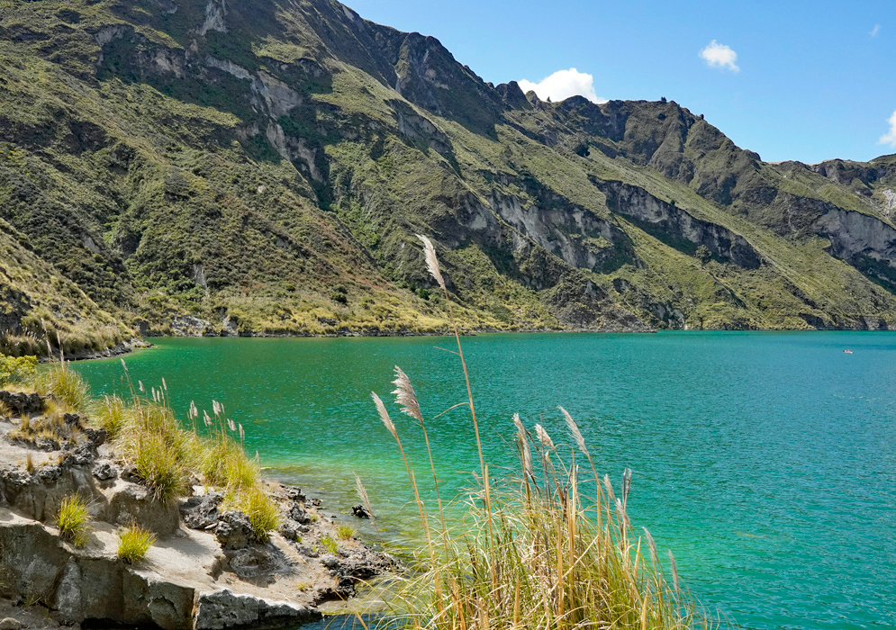 Quilotoa Lake Shore Lakeside view of Quilotoa Lake with reeds and volcanic cliffs reflecting in its bright emerald water