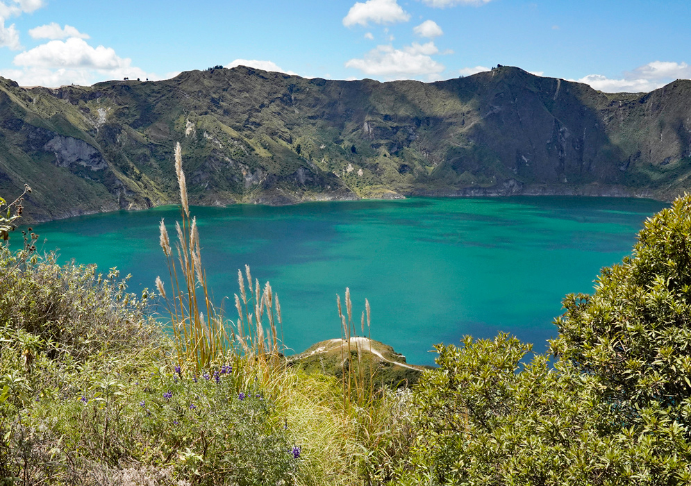 Quilotoa Lake Viewpoint Grassy foreground and mountain vegetation overlooking the brilliant turquoise waters of Quilotoa Lake