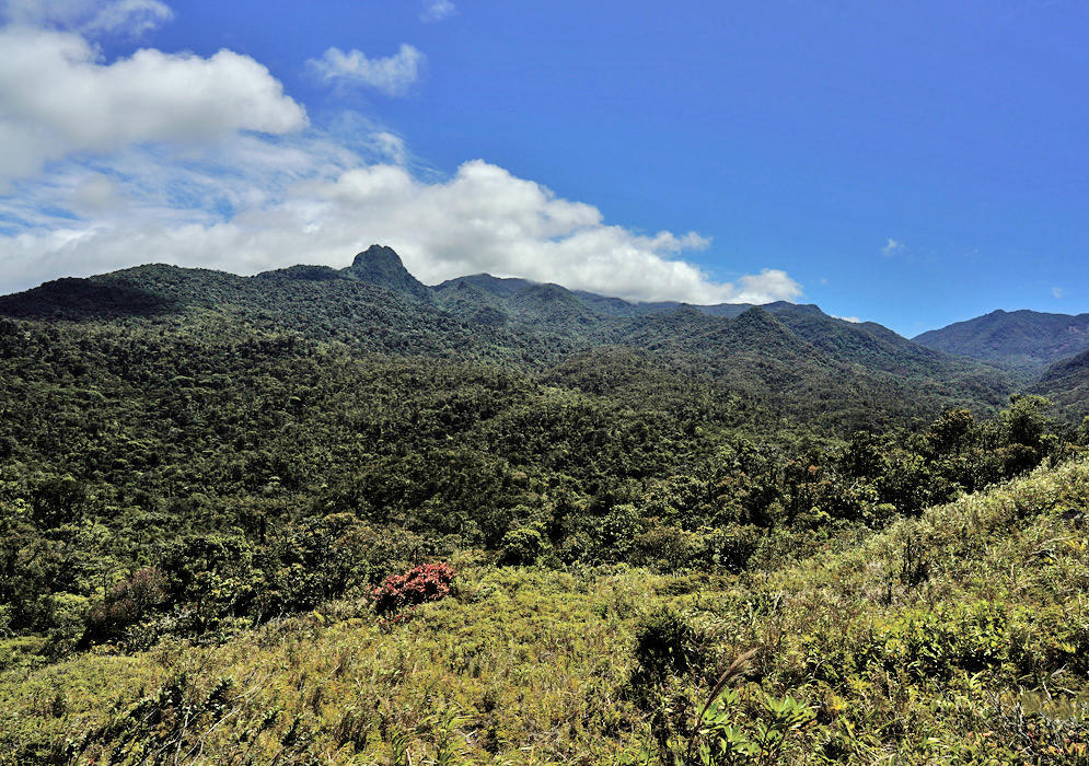 Fortuna Forest Reserve Lush tropical cloud forest landscape of Reserva Forestal de Fortuna in Panama, with dense green vegetation, jagged peaks, and bright blue sky