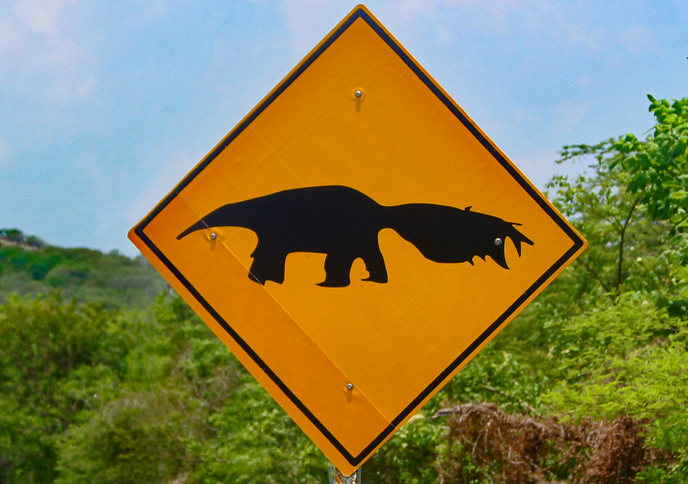 Colombian road sign of an anteater