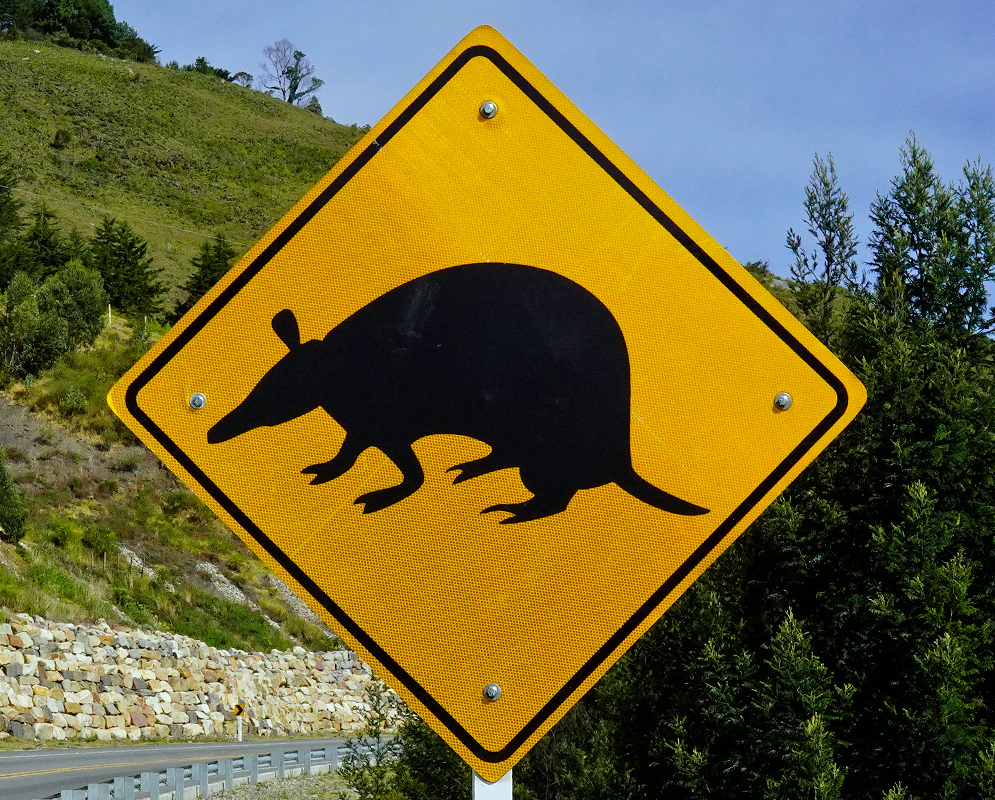 Armadillo Crossing Road Sign Wildlife road sign featuring a black silhouette of an armadillo on a yellow diamond background, placed along a mountain road with greenery