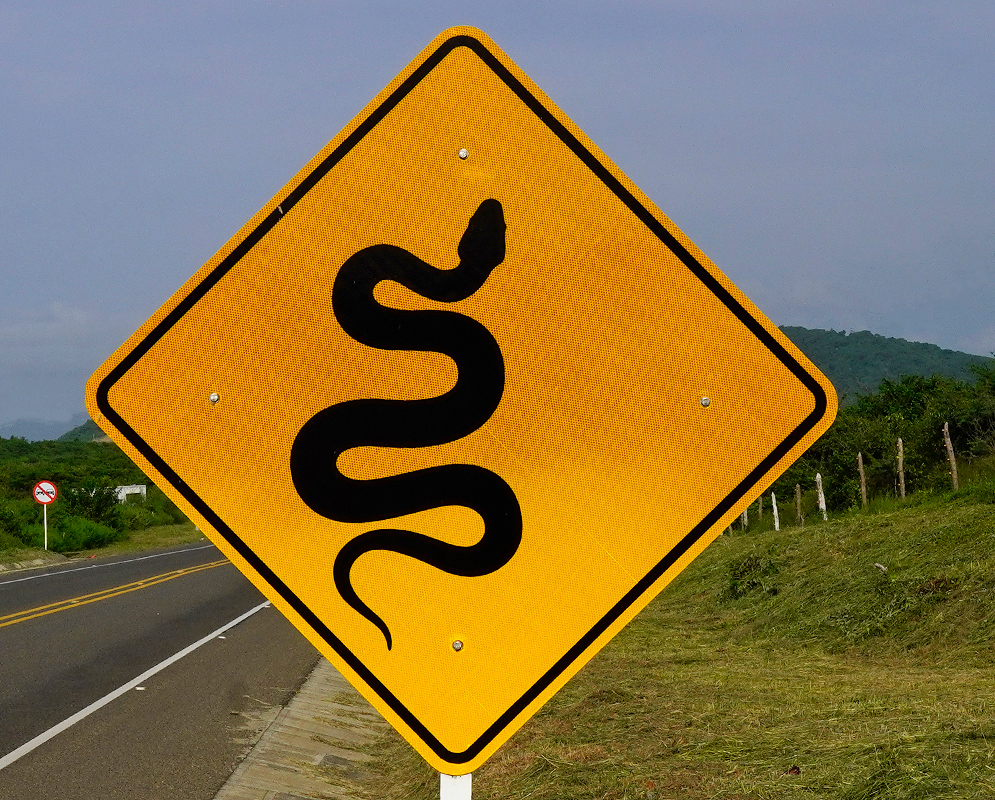 Snake Warning Road Sign Yellow diamond-shaped road sign with a bold black silhouette of a snake warning of serpentine curves ahead on a rural highway