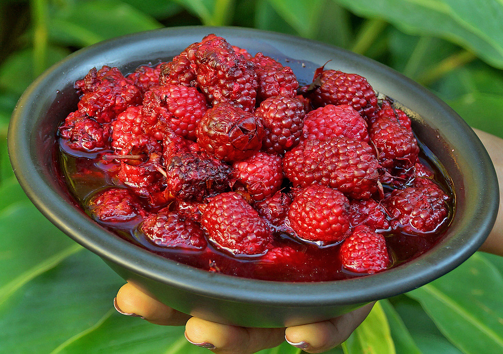 Juicy deep-red Rubus glaucus berries in a black bowl