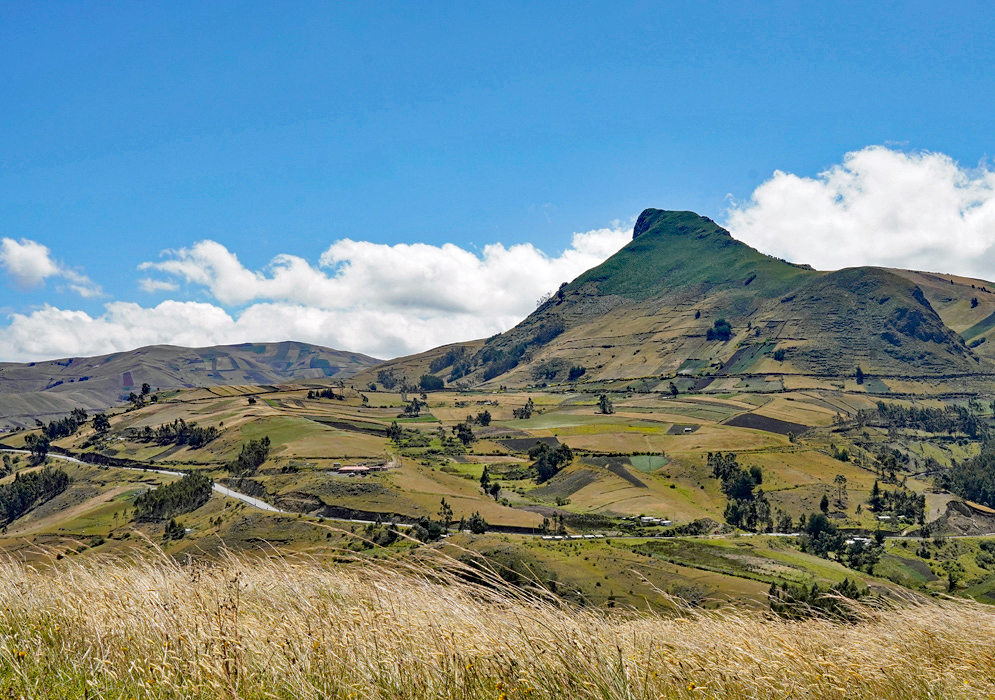Pastoral Hills Of Rural Ecuador Gentle hills marked by fields and trees form a patchwork landscape typical of rural Ecuador