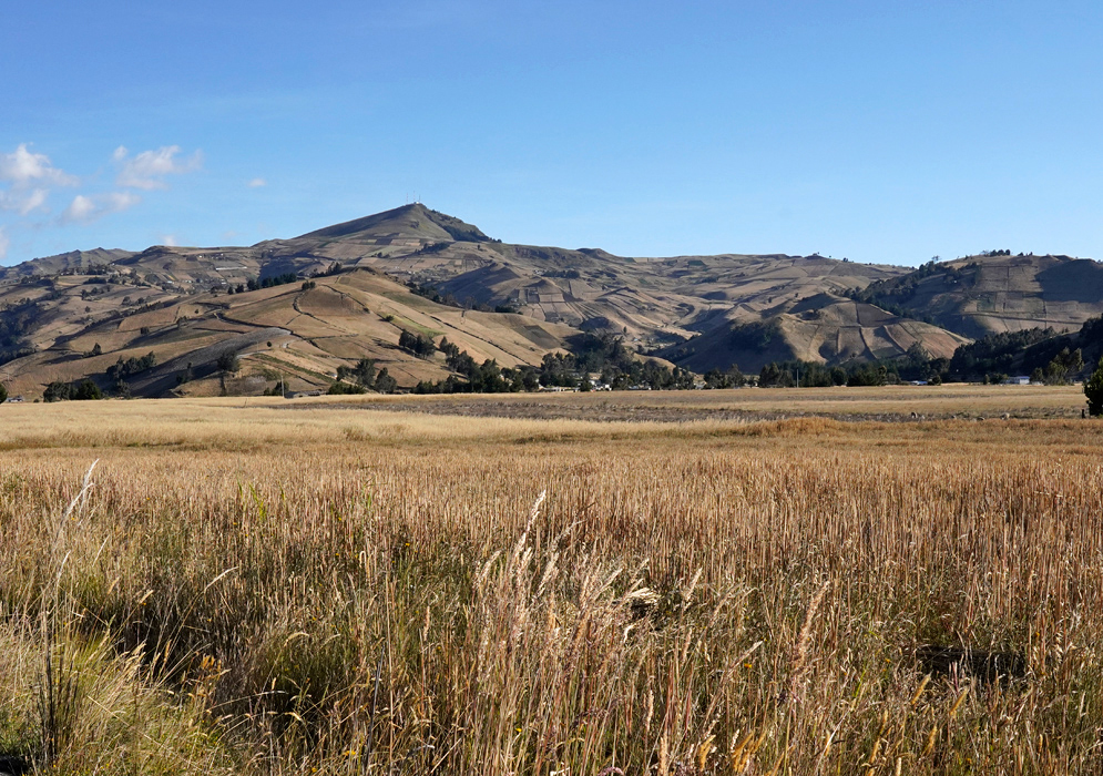 Rural Landscape of Guangaje High-altitude grasslands stretching to patchwork slopes of cultivated fields and forested ridges in Guangaje Parish, Ecuador