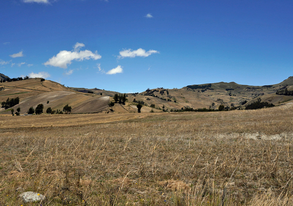 Rural Highlands of Pujilí Rolling dry grasslands with tilled hillsides and scattered trees under a deep blue sky in the rural highlands near Pujilí, Ecuador