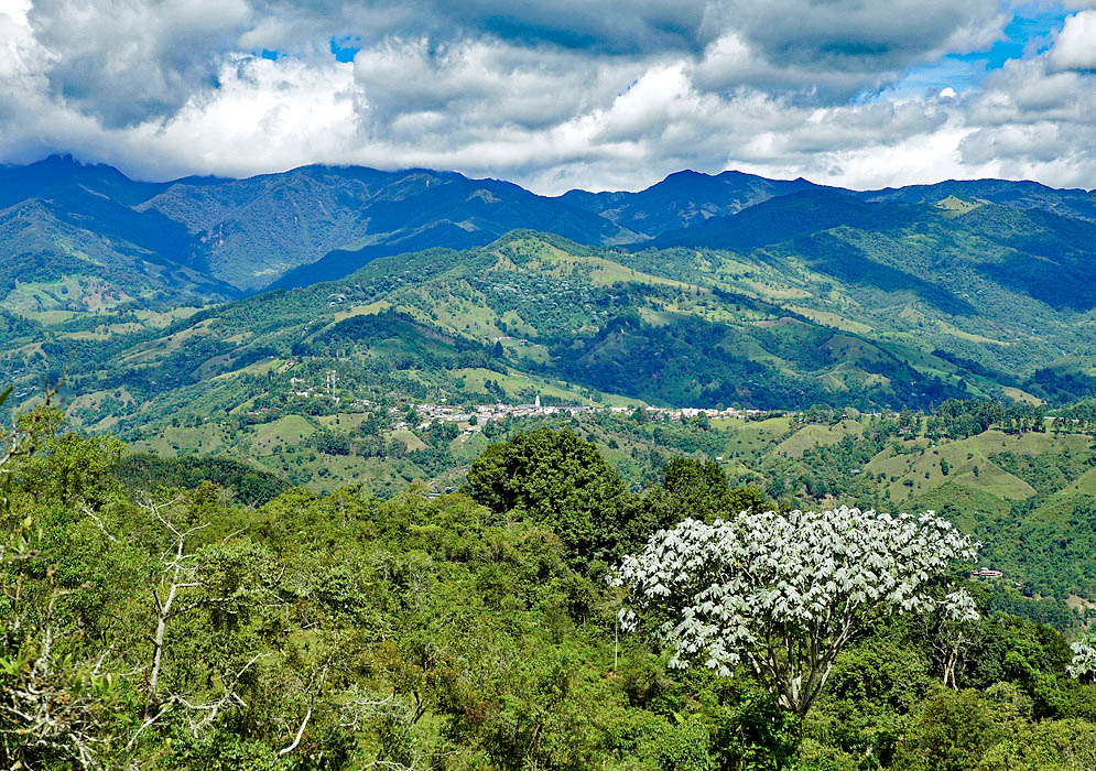 Looking at the mountains south of Salento, Colombia