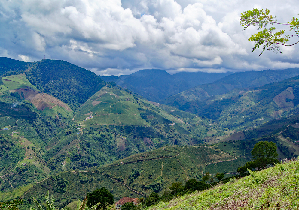 The mountains and coffee farms near Santuario, Colombia