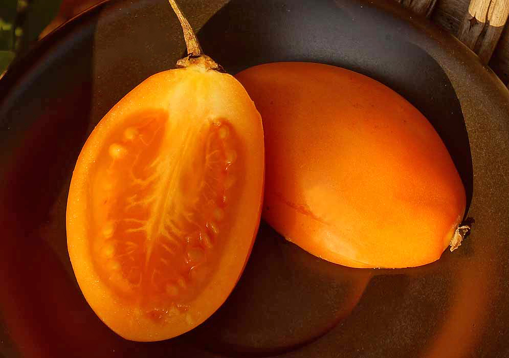 Orange and reddish Solanum betaceum tamarillo cut in half in a black bowl