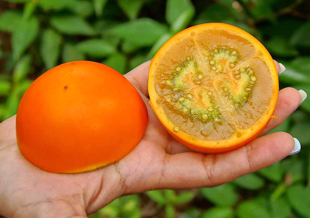 Two halved Solanum quitoense fruit, one side with orange skin, and the the other half showing the orange pulp