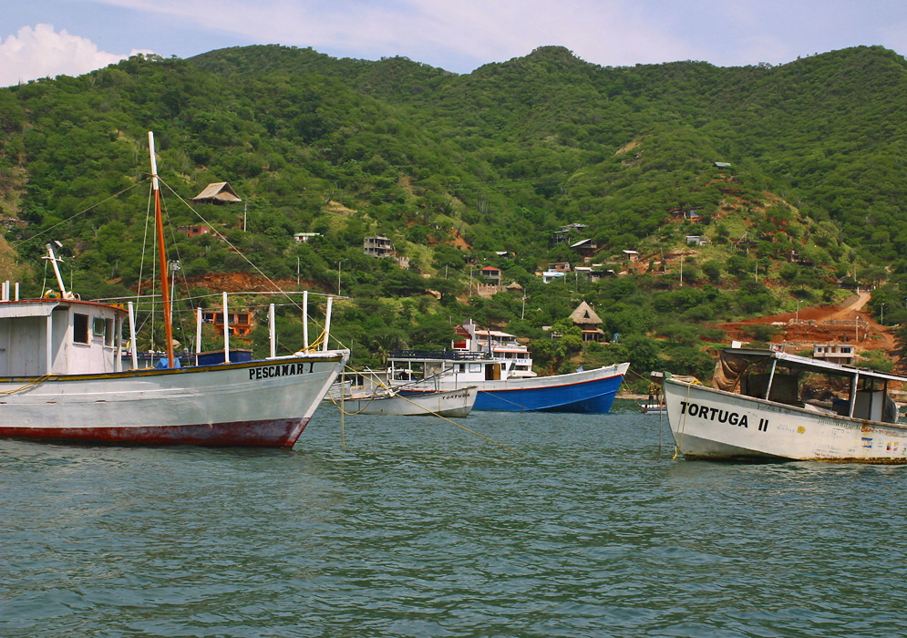 Taganga Fishing Village Close view of anchored fishing boats near a green hillside village in Taganga with small rustic houses visible on the slope