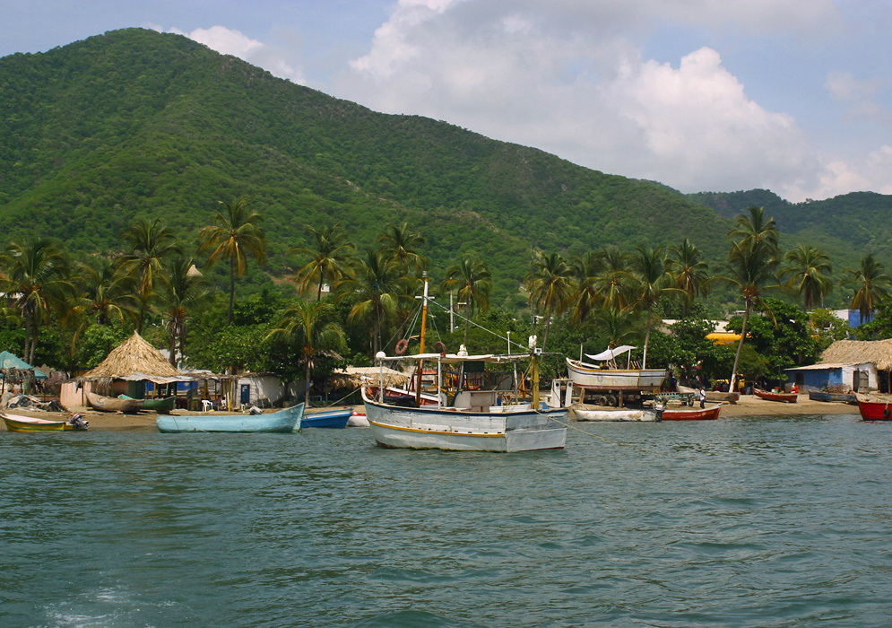 Tagana Fishing Village Boats docked near the sandy shore of Taganga with thatched-roof huts, palm trees, and forested hills in the background