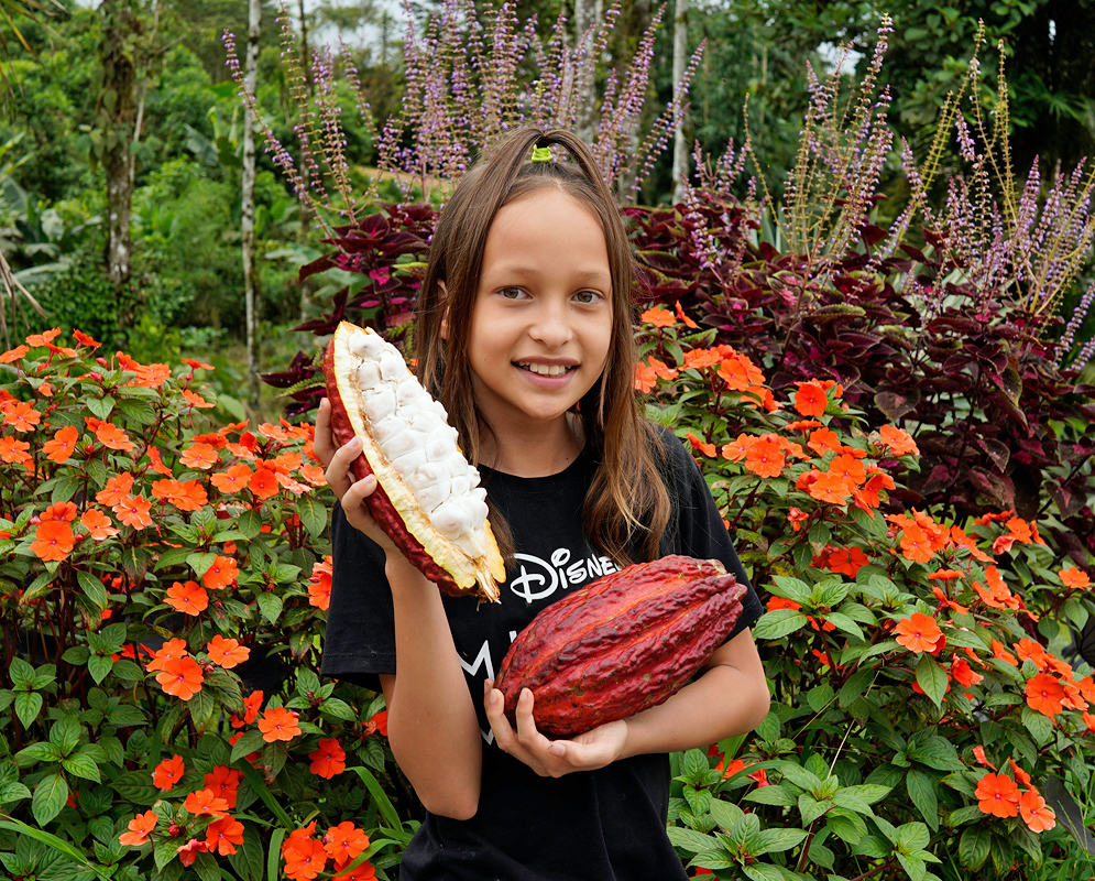 Theobroma cacao Cacao Pod in Garden Smiling girl holding an open and whole cacao pod of Theobroma cacao in a vibrant garden with orange flowers and tropical plants