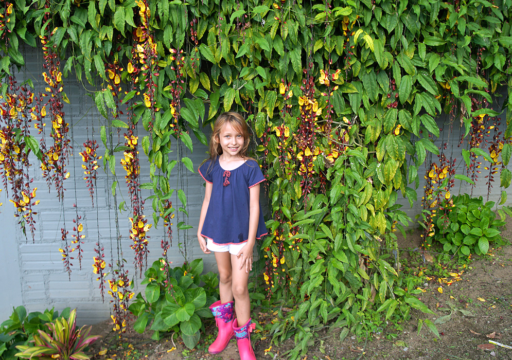 Pretty girl in front of Thunbergia mysorensis flowering vine