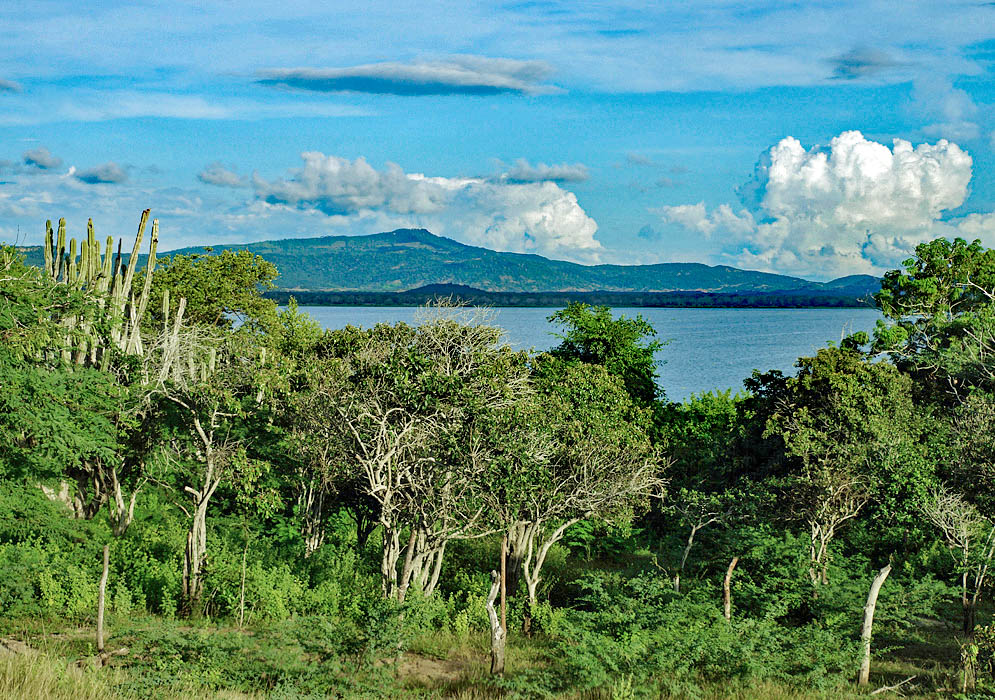A glimpse of the Totumo lagoon partially by trees