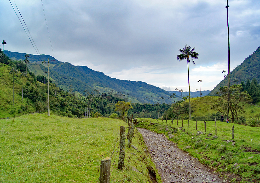 Valle del Cocora, Colombia visita