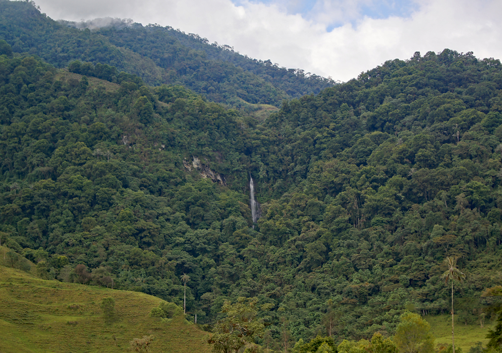 A waterfall in Valle del Cocora
