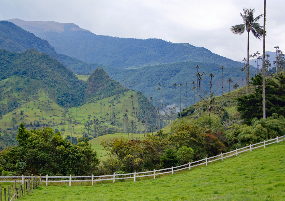 ooking east towards the rising valley and mountains of the Valle del Cocora