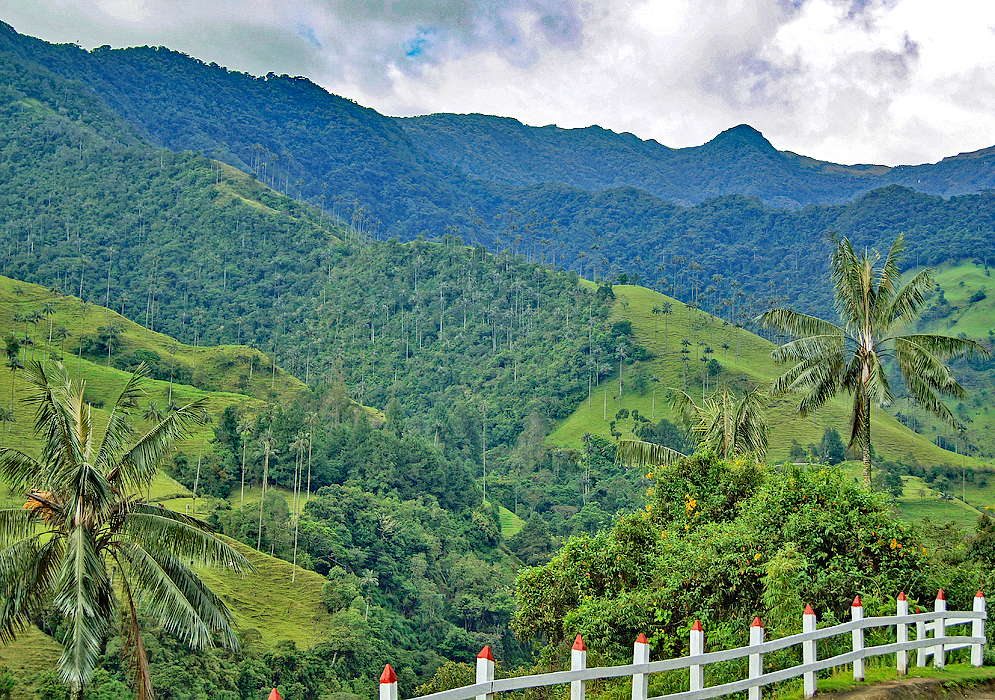 Looking north towards the end of the valley in the Valle del Cocora