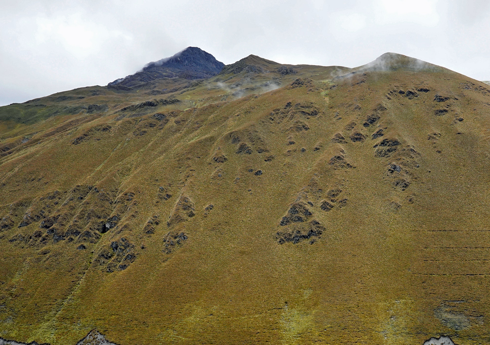 Vilcanota Mountain Páramo Mist rises from golden páramo-covered slopes along the Vilcanota mountains, revealing a windswept highland ecosystem