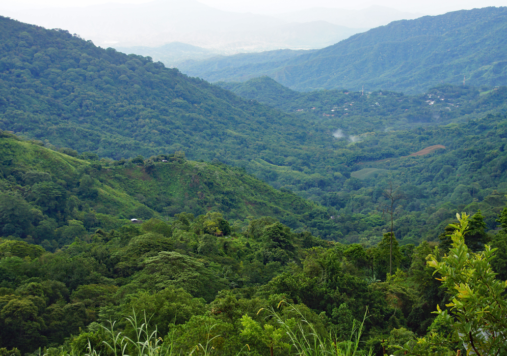 View of Minca surrounded by the green jungle after a rain