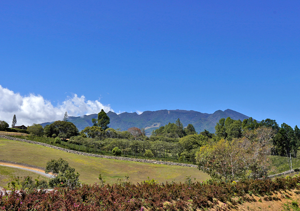 Volcán Barú Highlands Landscape Distant view of Volcán Barú rising above rolling pastures and tree-lined slopes under a vibrant blue sky in Panama's highlands.