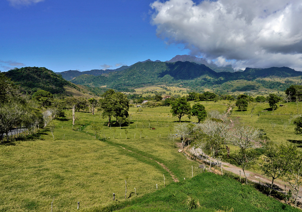 Volcán Barú Pastoral Landscape Verdant highland pastures and scattered trees stretch across rolling farmland at the base of Volcán Barú in Panama, with dark ridges and cloud cover rising in the background